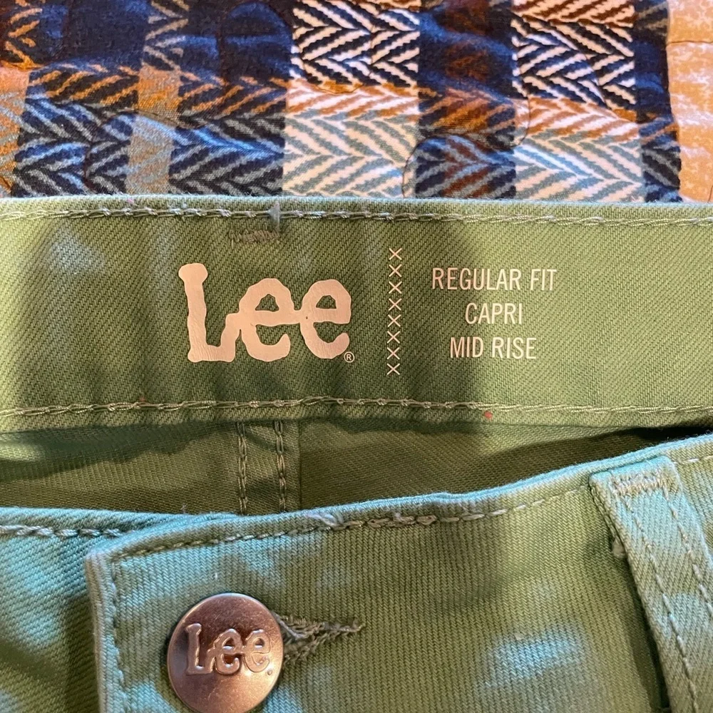 Lee questions comments
